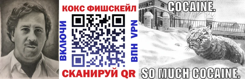 мега ссылка  где купить наркотик  Энгельс  COCAIN Fish Scale 