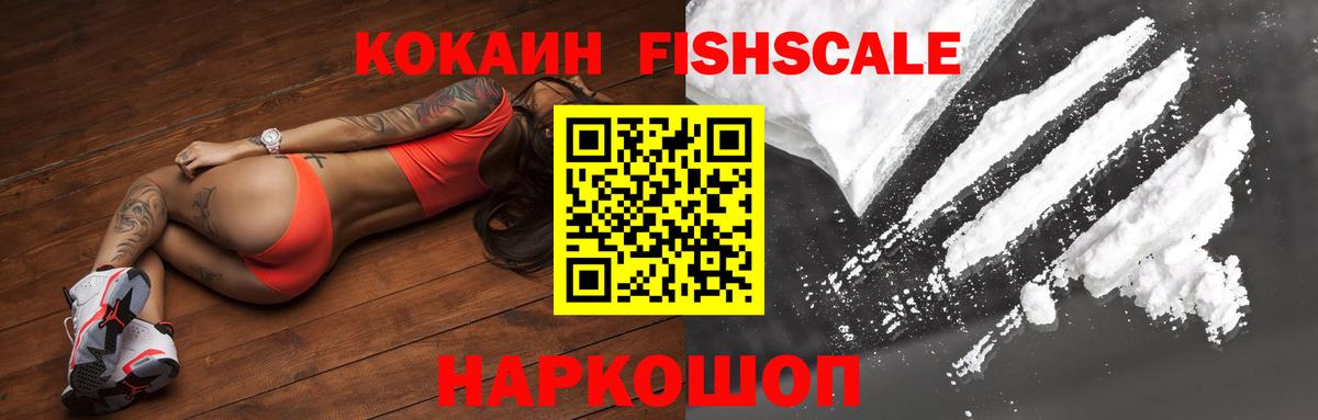 Cocaine Fish Scale  Вход с VPN  Cocaine  Энгельс 