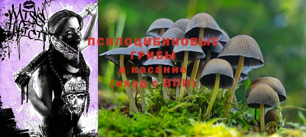 метадон Лихославль