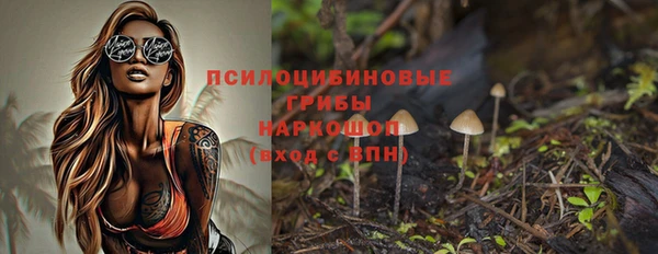 PSILOCYBIN Лиски