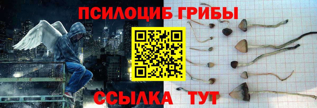 купить  цена  Вход с VPN  Энгельс  Псилоцибиновые грибы GOLDEN TEACHER 